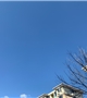爸爸好起来